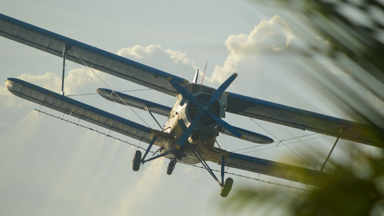 Flugzeuge - Fluch oder Segen?