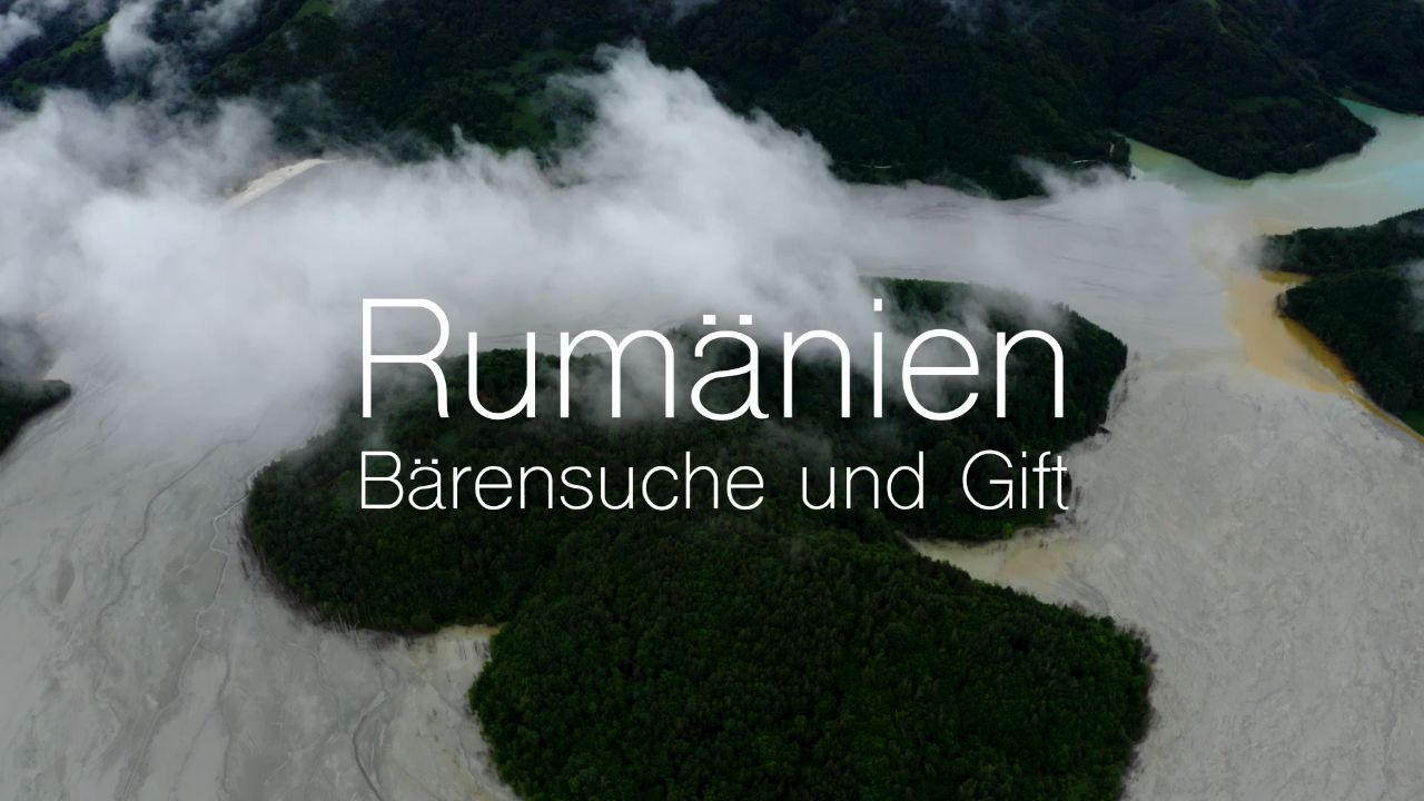 Rumänien 2023 – Teil 2 – Bärensuche und Gift